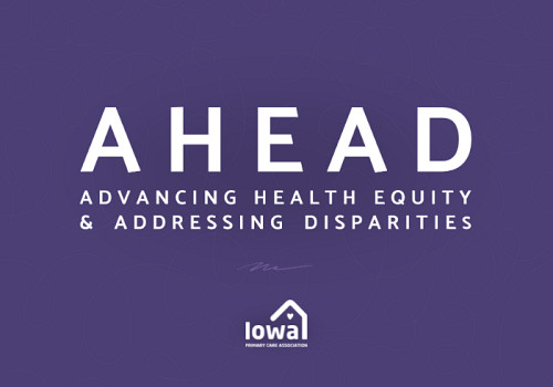 Advancing Health Equity and Addressing Disparities: Year Two of Implementation